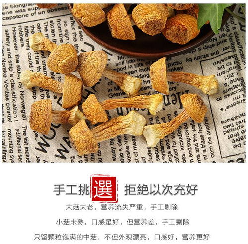 姬松茸干货云南特产食用野生菌菇蘑菇松茸250g包邮