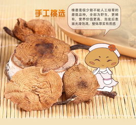 咕嘟菇野生榛蘑 东北特产食用菌160g袋装榛蘑 无根蘑菇片